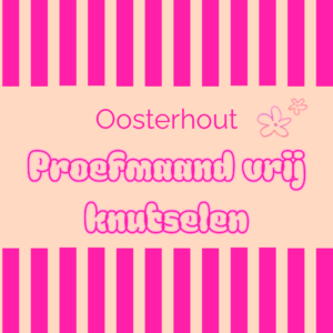 Proefavond vrij knutselen Oosterhout €10